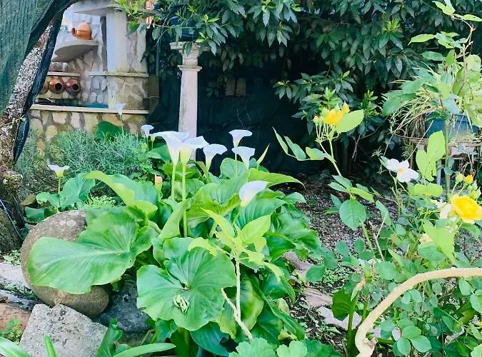 Belavista & Pool Fatima